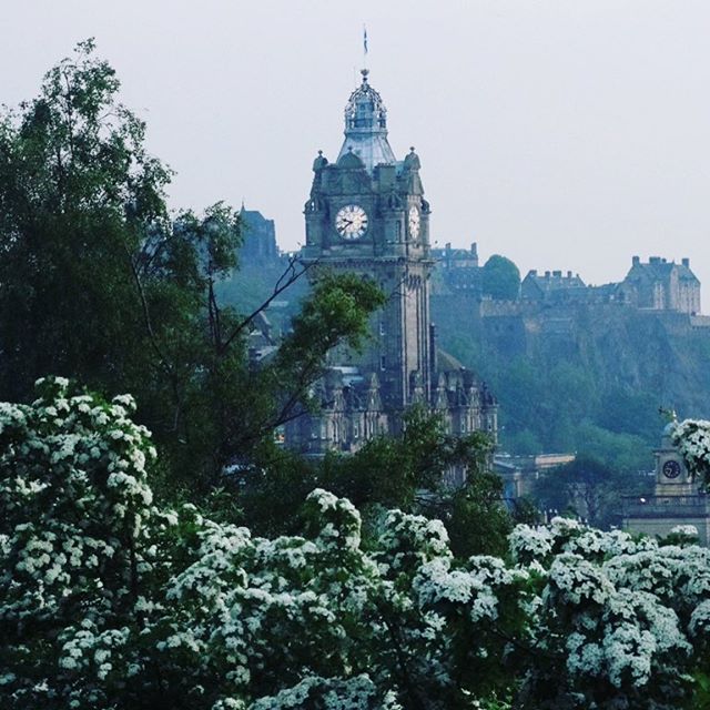 34426667_375535476303257_8514089571246407680_n